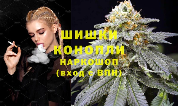 mix Богородицк